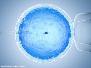 实验室 Fig.02
